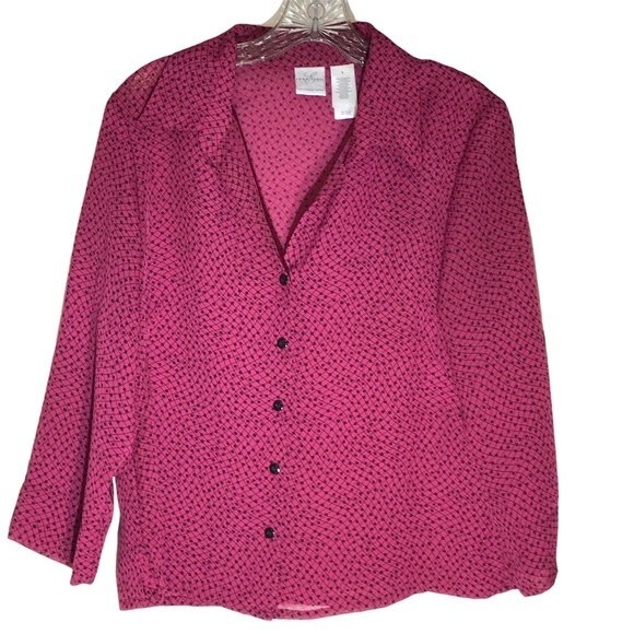 Emma James by Liz Clairborne Semi Sheer Button Up Blouse - Picture 1 of 8
